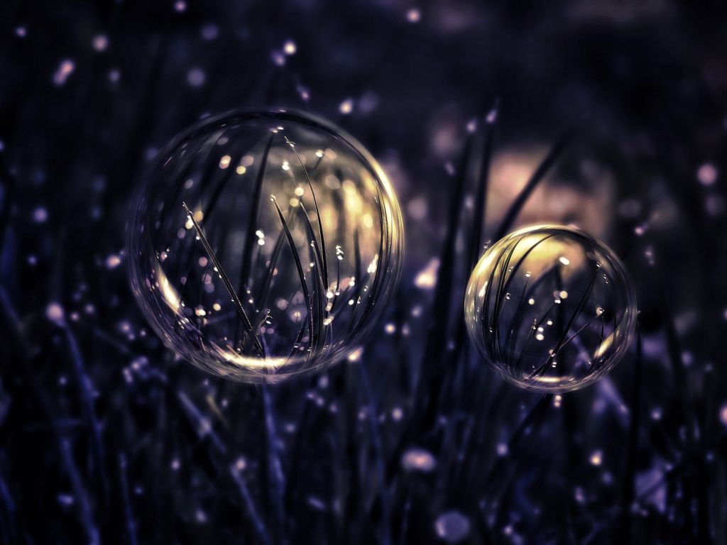 Grass Drops Bubbles HD S wallpaper