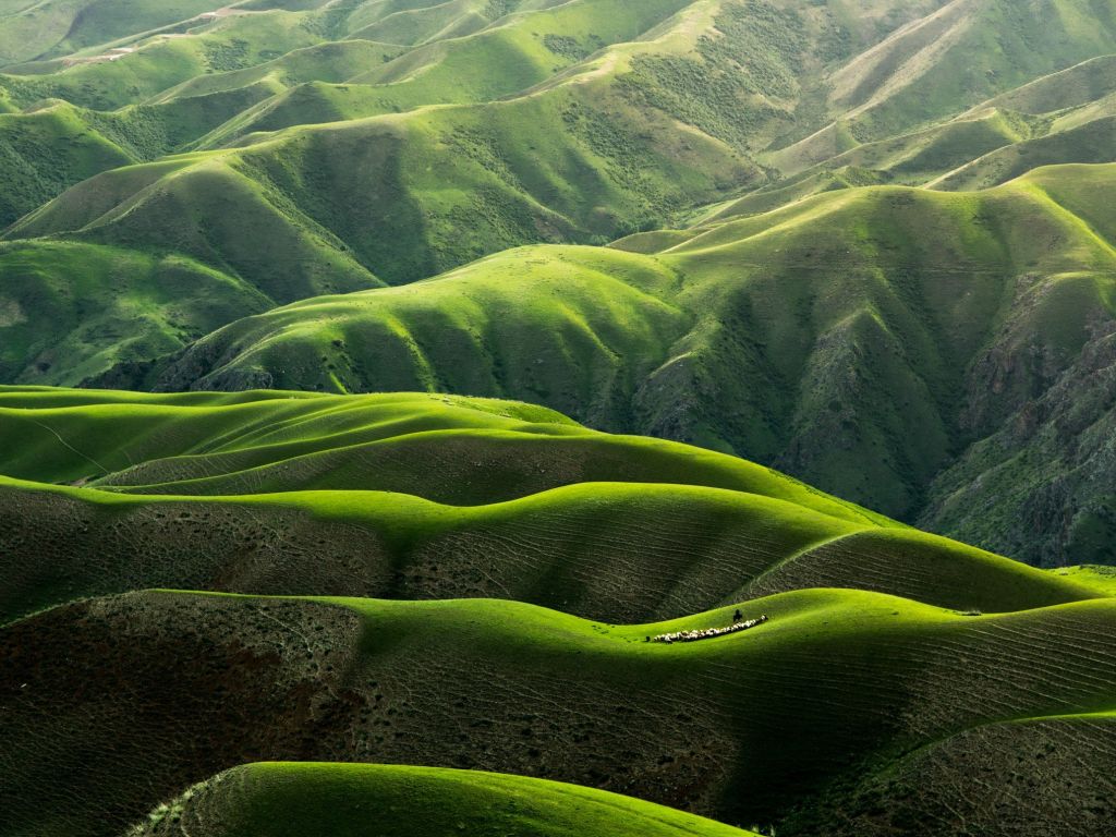 Grasslands in Yili wallpaper