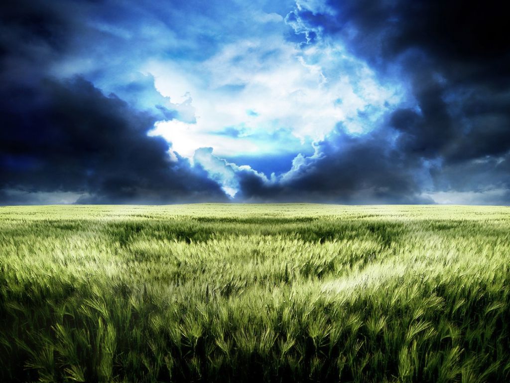 Green Fields Storm Coming HD Desktop wallpaper