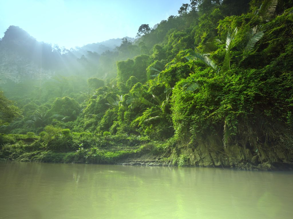 Green Landscape River 1098 wallpaper