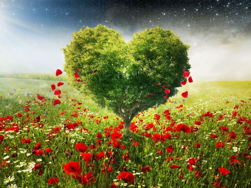 Green Love Heart Tree Poppies wallpaper