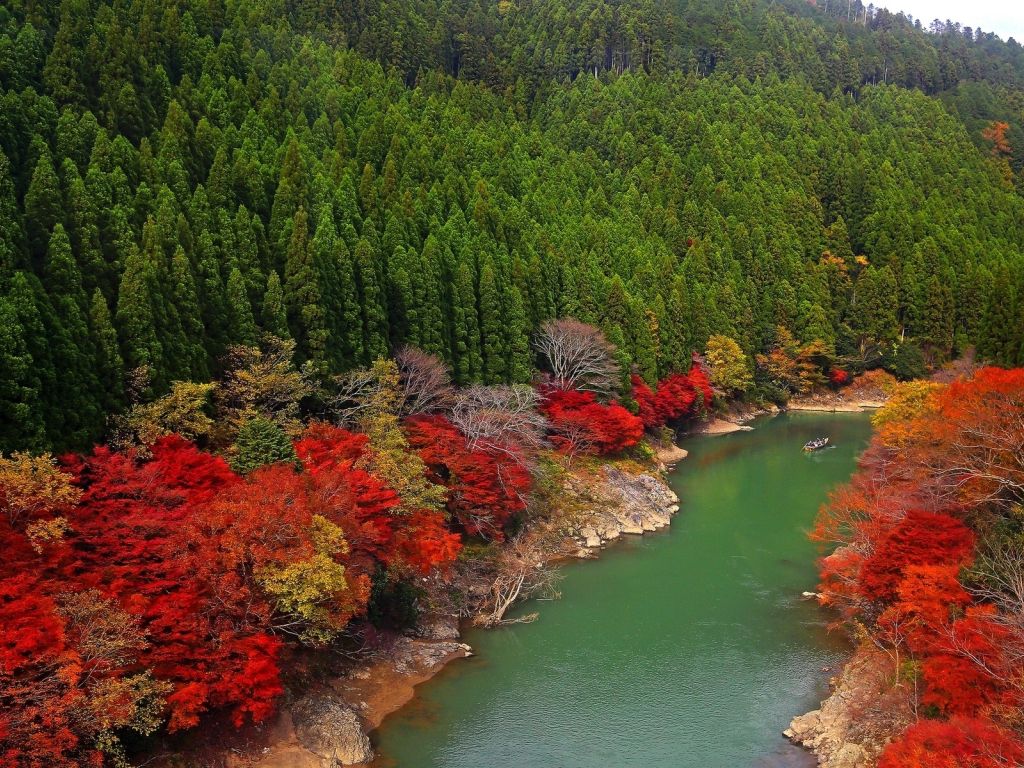 Green Red River Landscape wallpaper