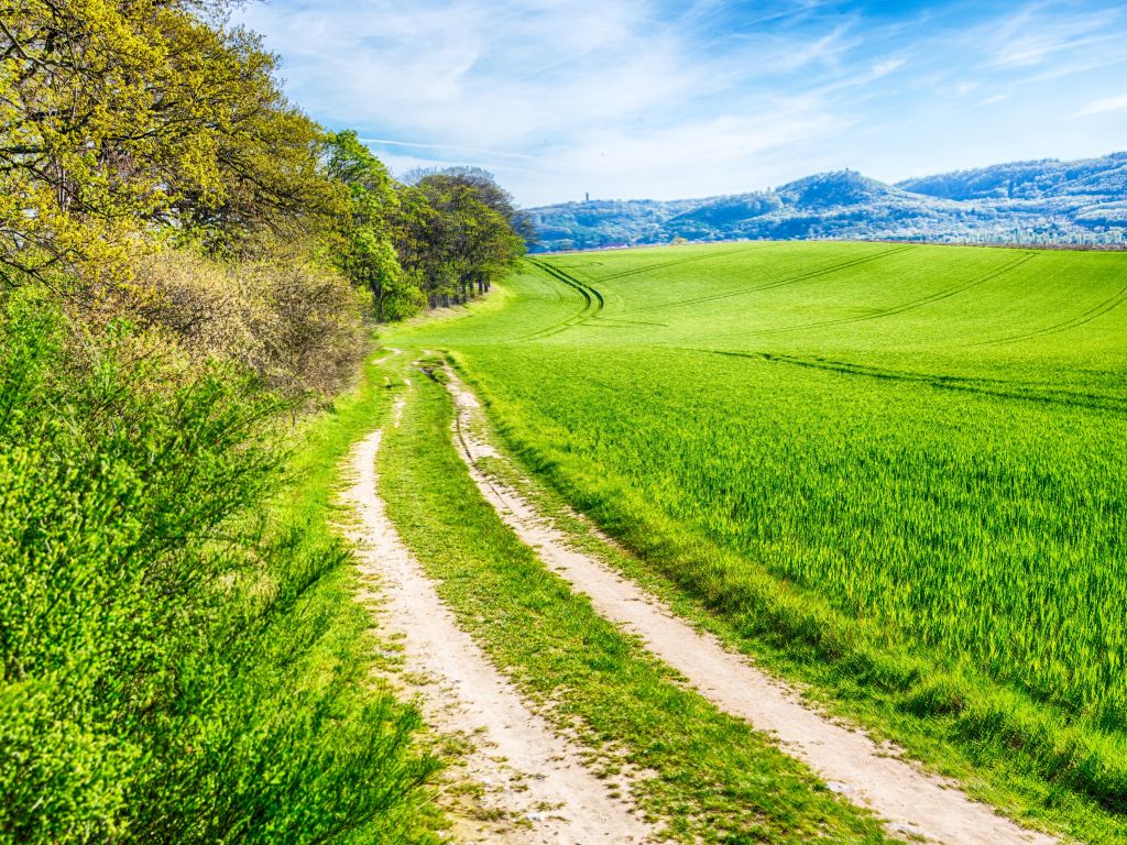 Green Road With Blue Sky wallpaper