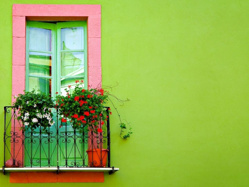 Green Wall Window wallpaper