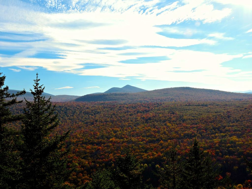Groton State Forest Vermont wallpaper