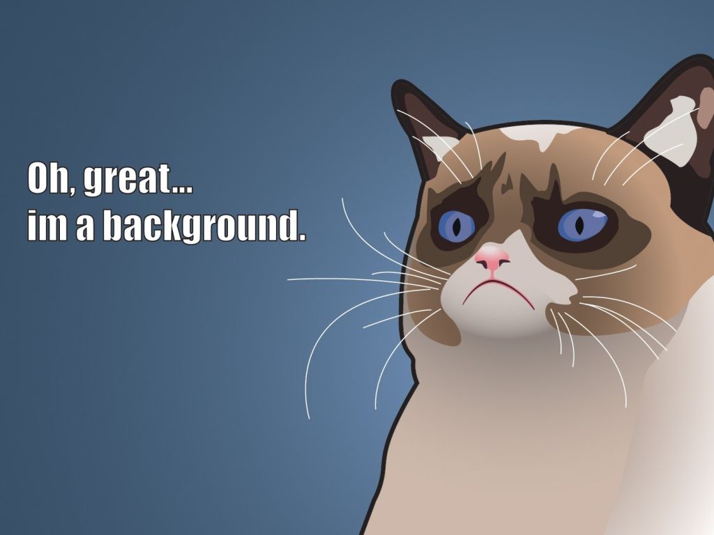 Grumpy Cat Cartoon Background wallpaper
