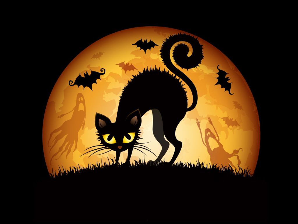 Halloween Cat wallpaper