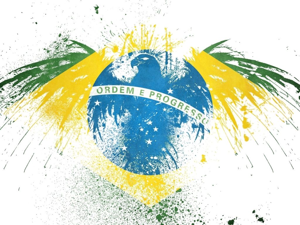 Hawk On Brazilian Flag wallpaper