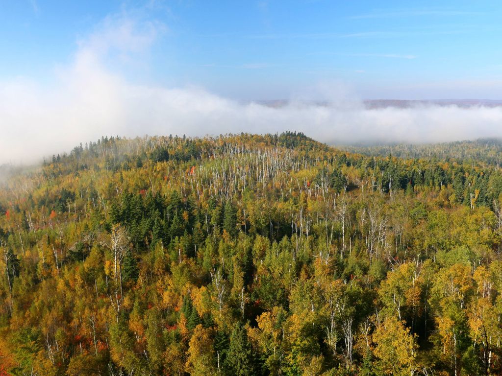 Heavy Lake Superior Fog Rolling in Over the Fall Colors of Northern Minnesota wallpaper