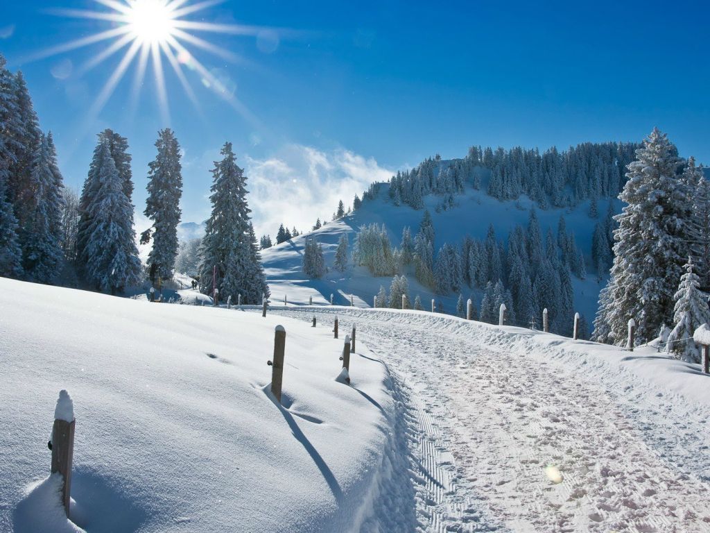 Heavy Snow on the Road With Beautiful Shining Sun Ever wallpaper
