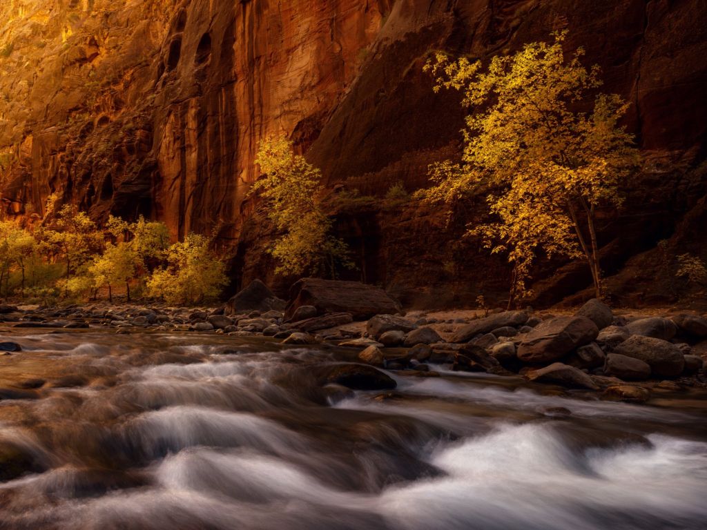 Hiking in the Zion River Narrows in Fall wallpaper