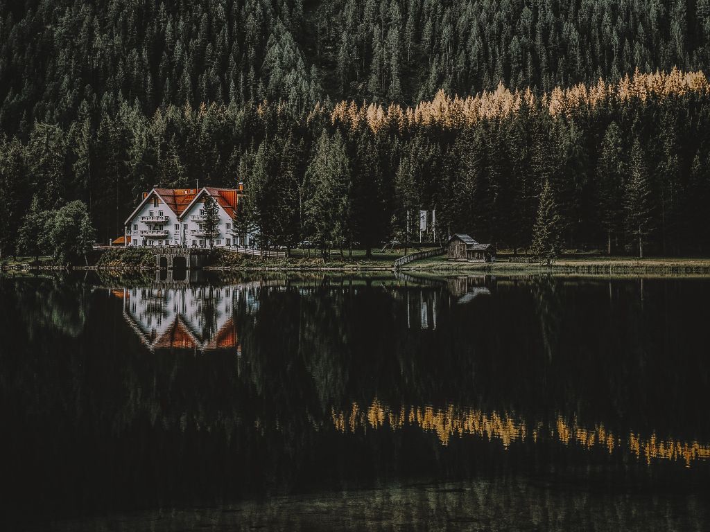 House in the Middle of the Forest wallpaper