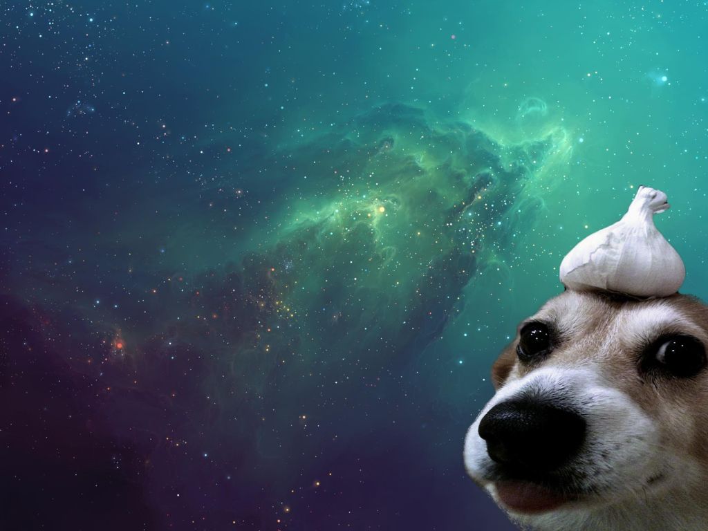 I Liked Garlic Dog so Much I Decided to Make My Own Version of the wallpaper
