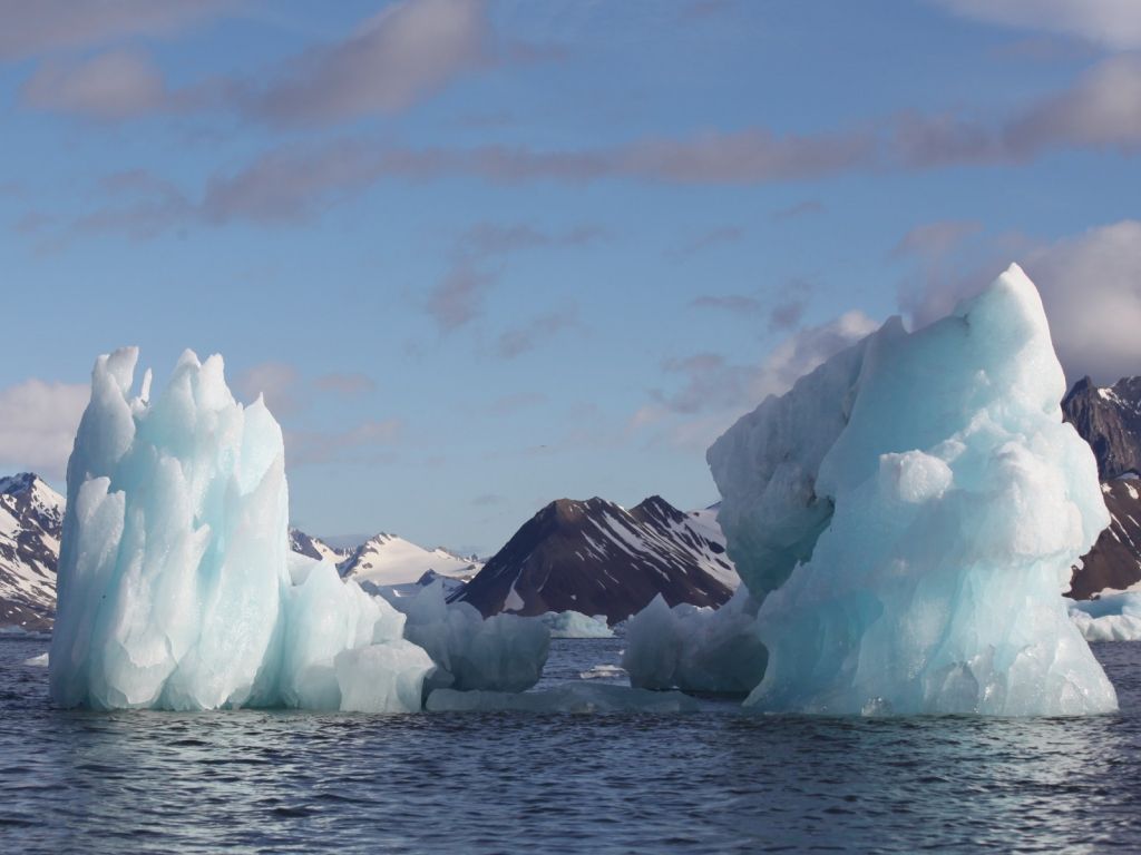 Icebergs Floating in Water wallpaper