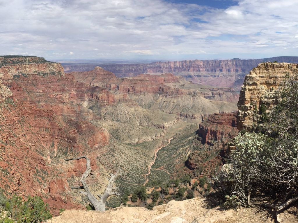 Incredible View of the Grand Canyon National Park Arizona wallpaper