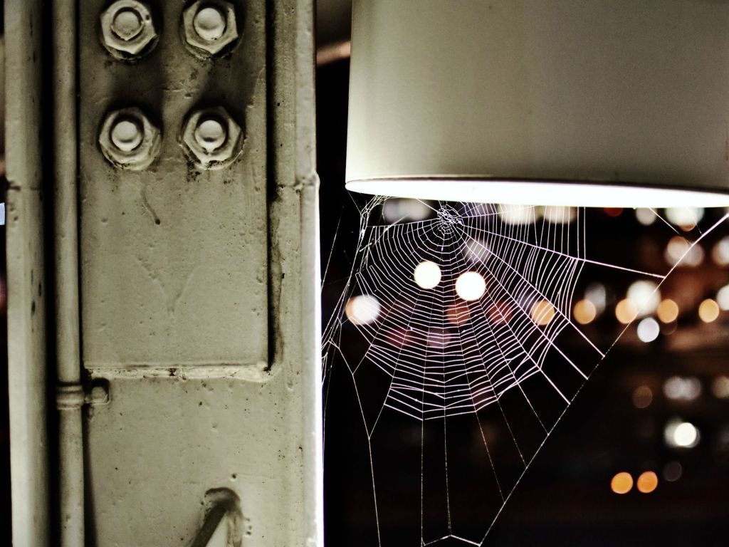 Abandoned Spiderweb wallpaper