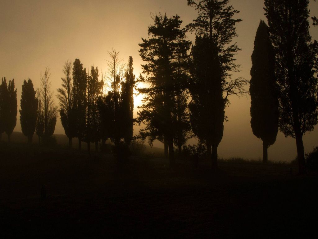 Sun Hitting the Fog in Tuscany Italy wallpaper