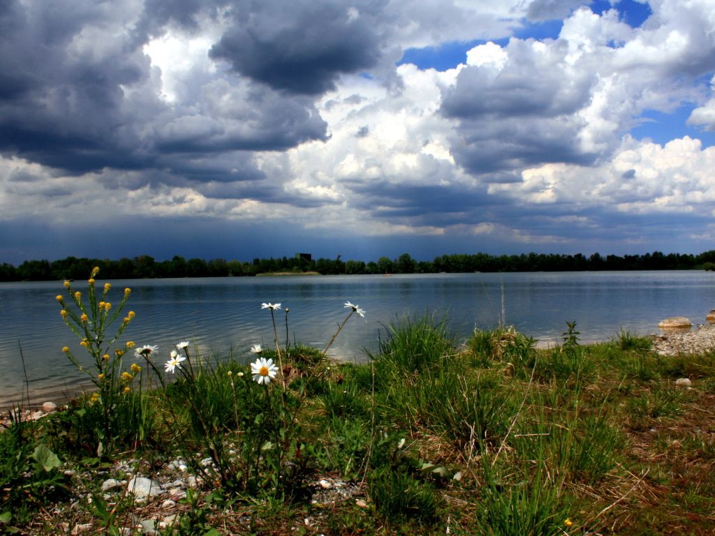 Lake With Rain Clouds and Flowers wallpaper
