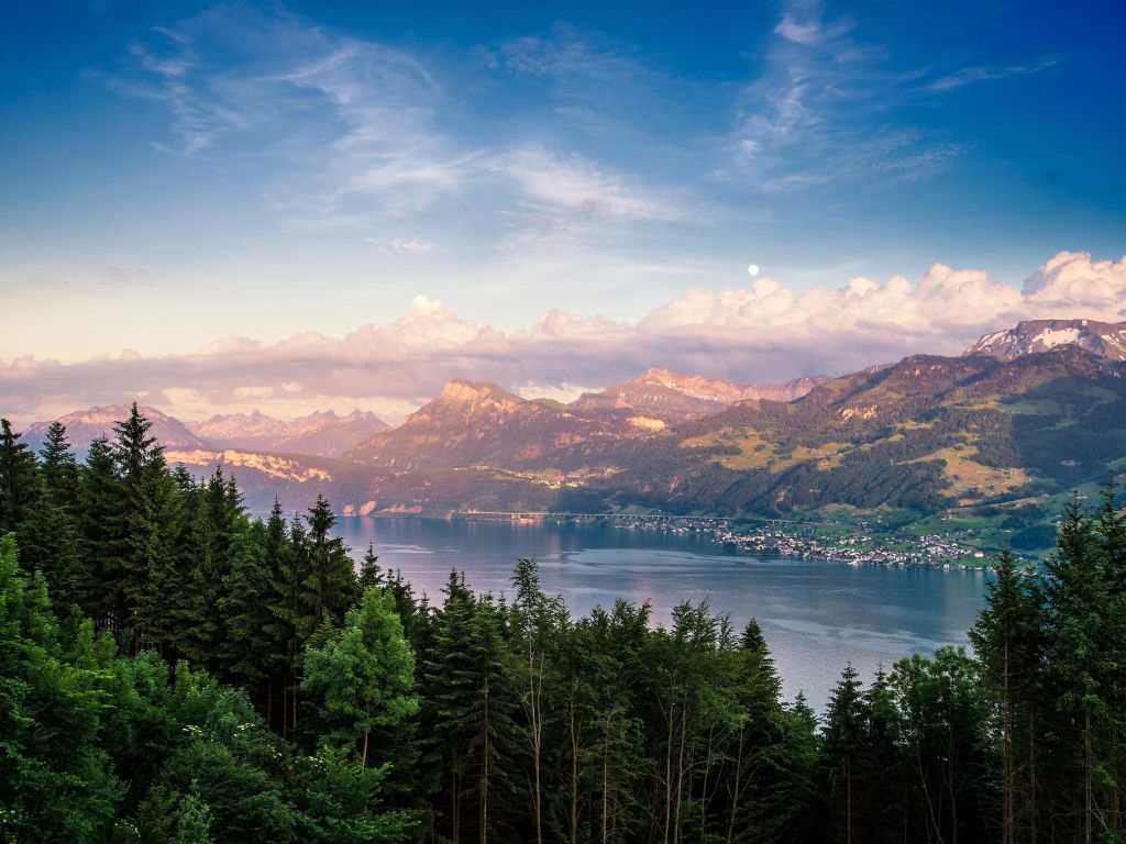 Lake Zurich Forest Sky Mountains wallpaper