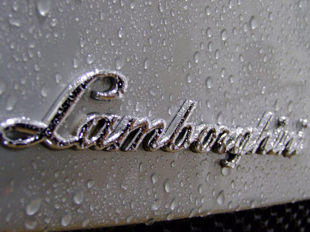Lamborghini Logo Hd wallpaper