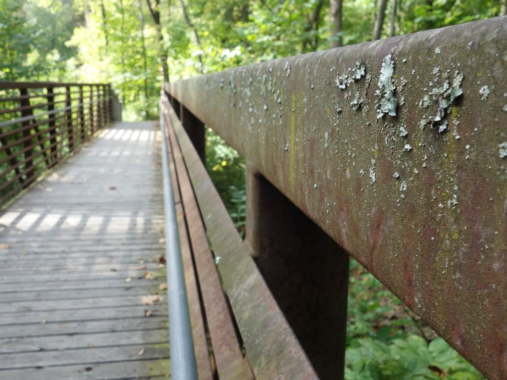 Lichen on a Bridge wallpaper