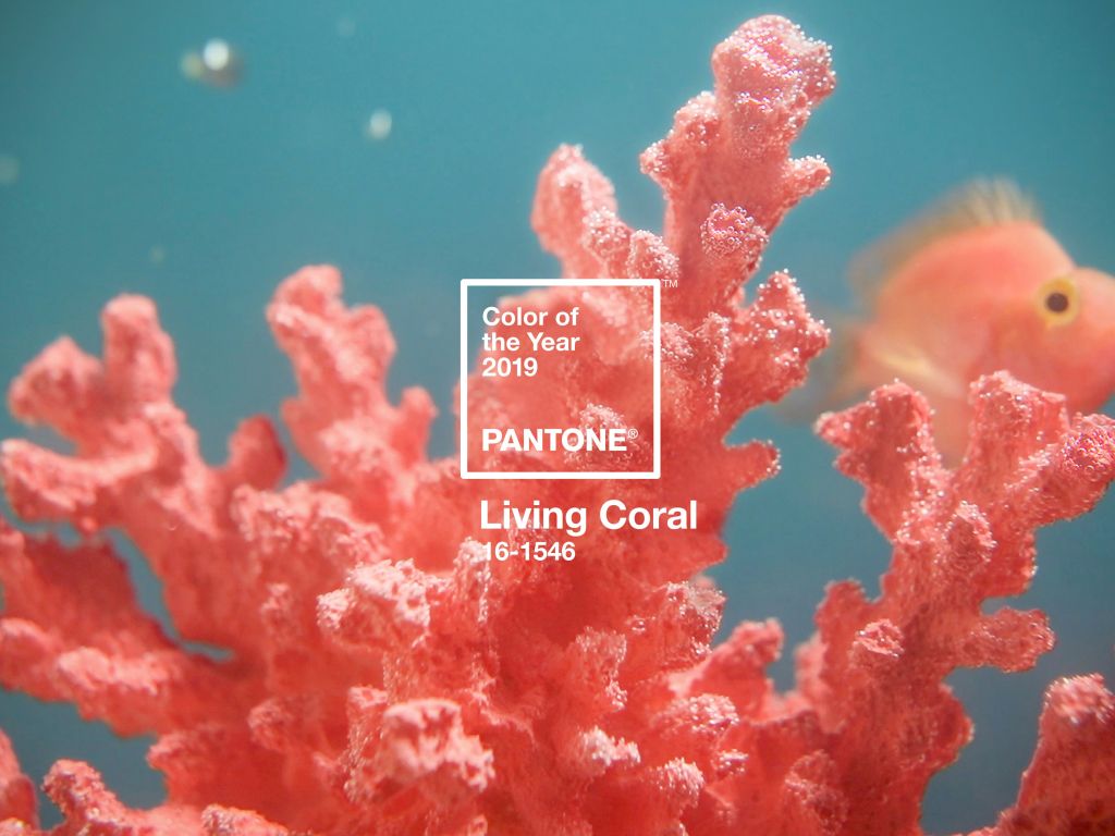 Living Coral wallpaper
