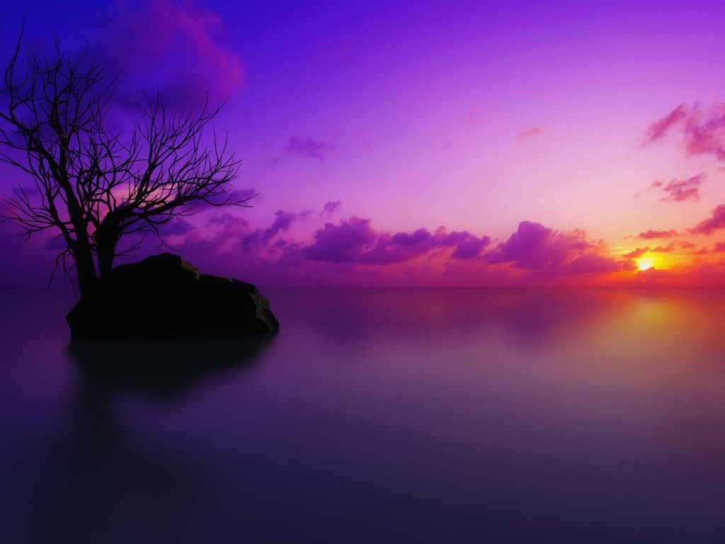 Lonely Sunset wallpaper