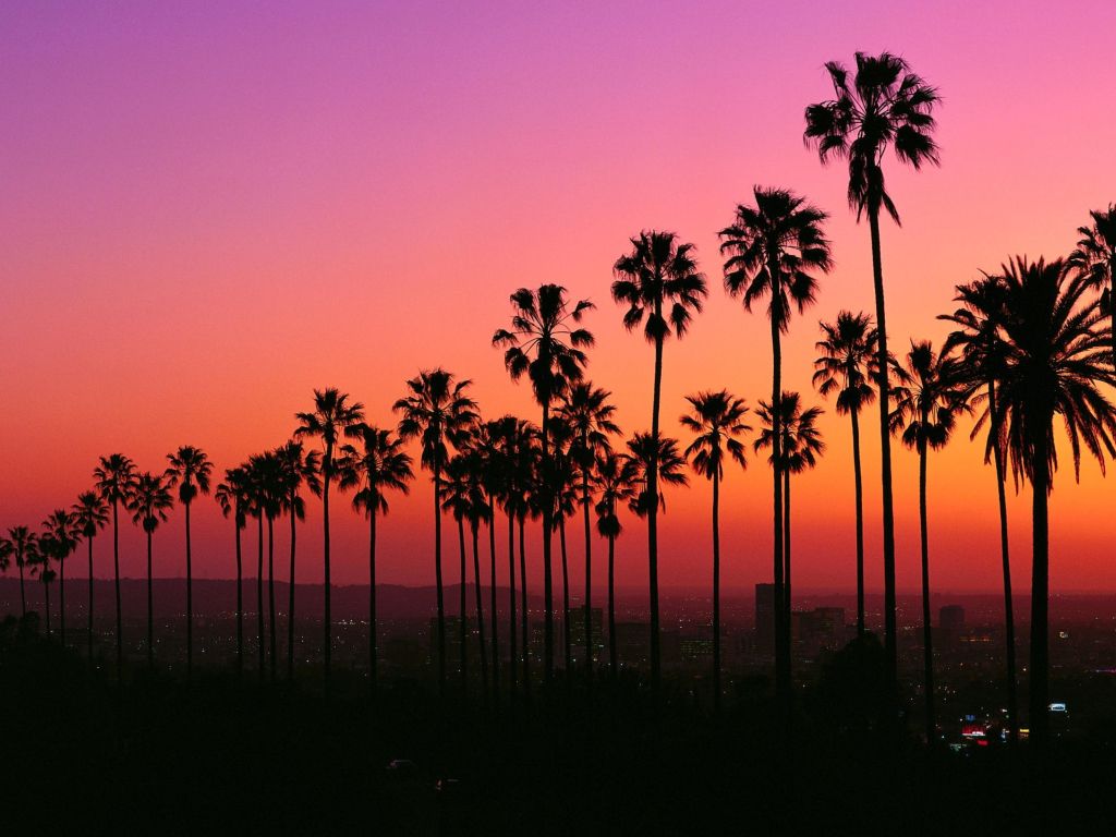 Los Angeles Sunset With Palm Trees wallpaper