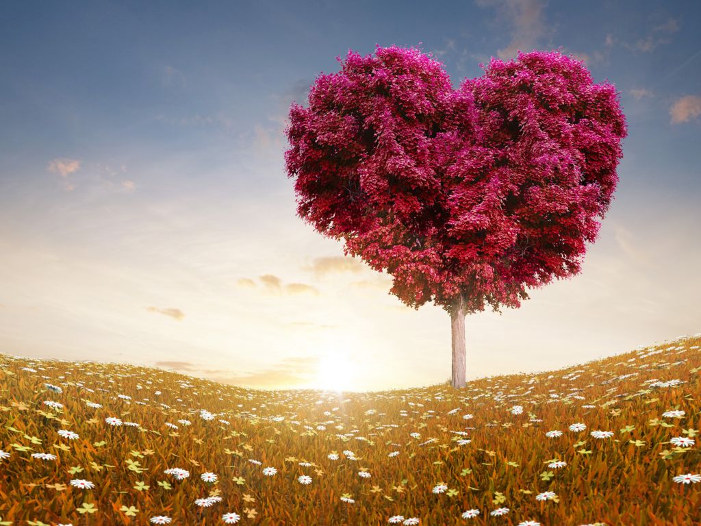 Love Heart Tree Fields wallpaper