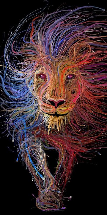 Minimalist Lion wallpaper in 360x720 resolution