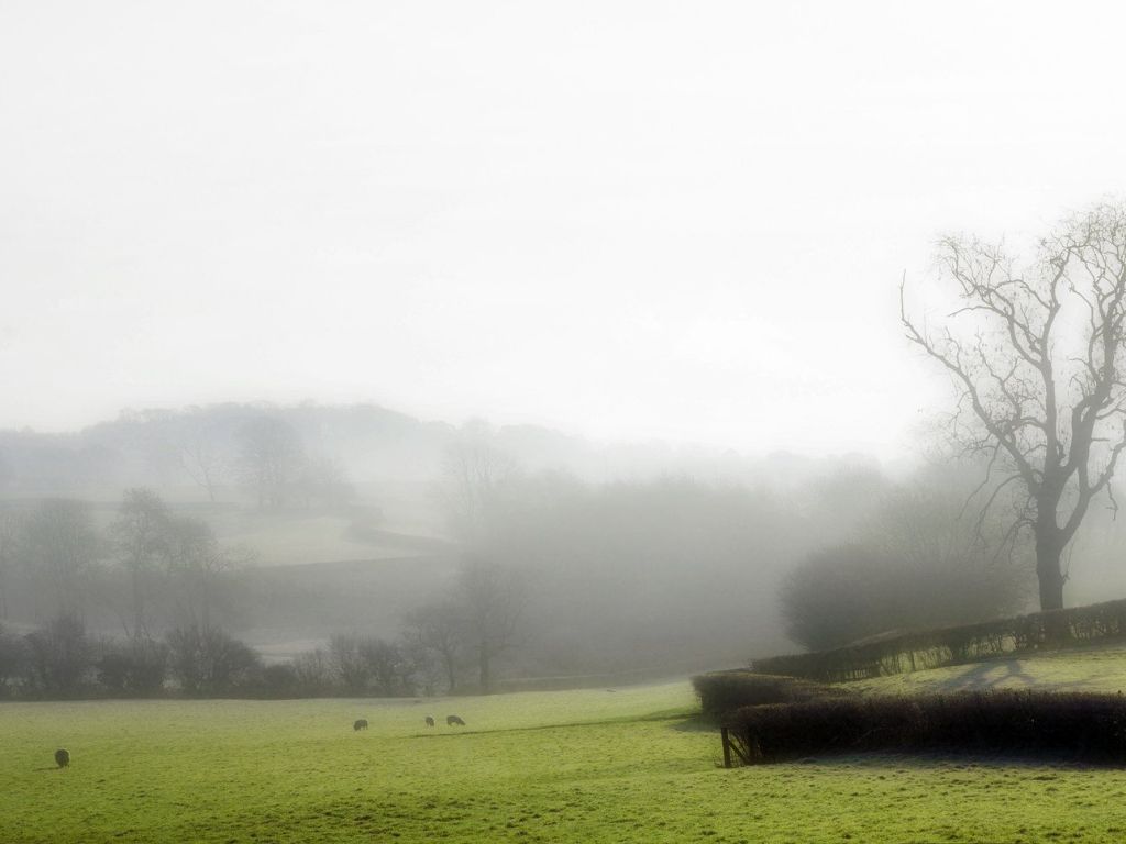 Mist in Welsh Countryside, UK wallpaper