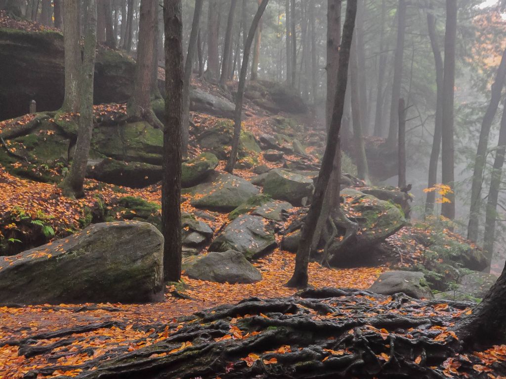 Misty Autumn Day in the Hocking Hills of Ohio wallpaper