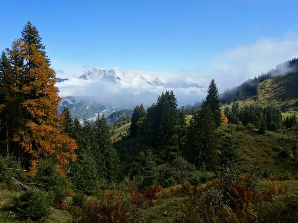 Misty Autumn Morning in the Alps Above Filzbach Switzerland wallpaper