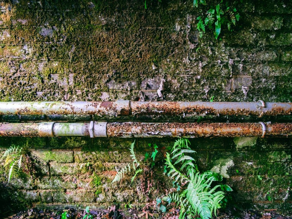 Moss and Rust wallpaper