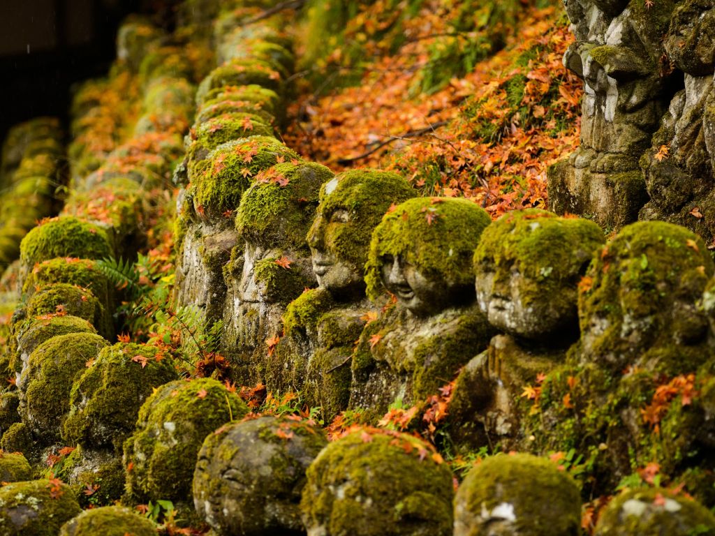 Moss-covered Statues wallpaper