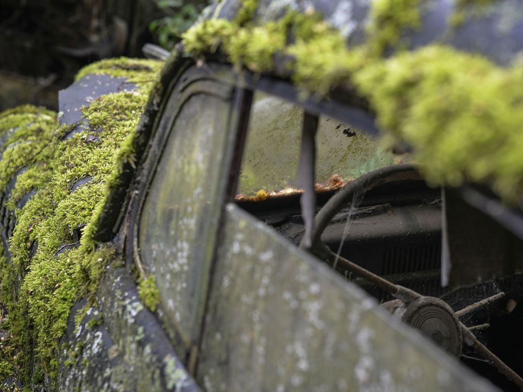 Mossy Car wallpaper