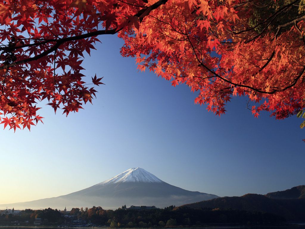 Mount Fuji Autumn Maple Japan wallpaper