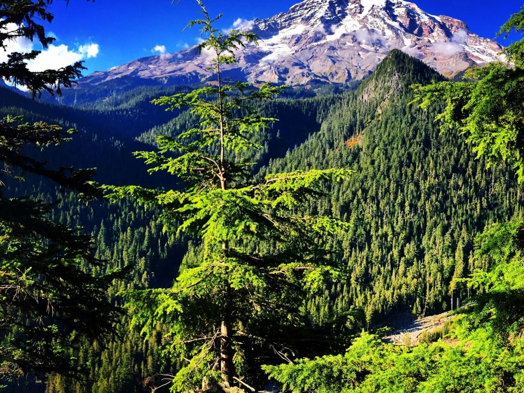 Mount Rainier Washington State wallpaper