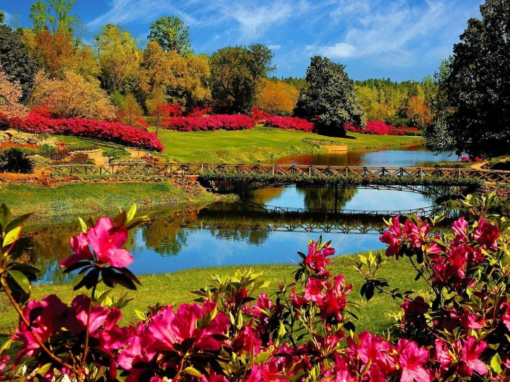 Multicolored River and Flowers wallpaper