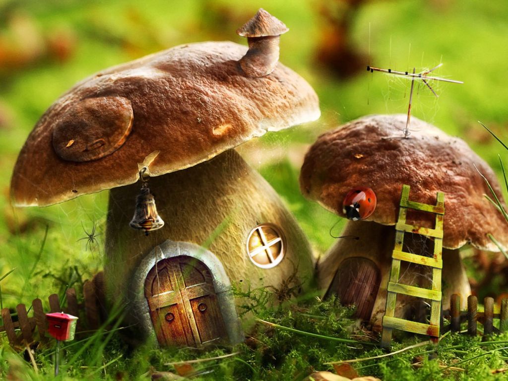 Mushroom House wallpaper