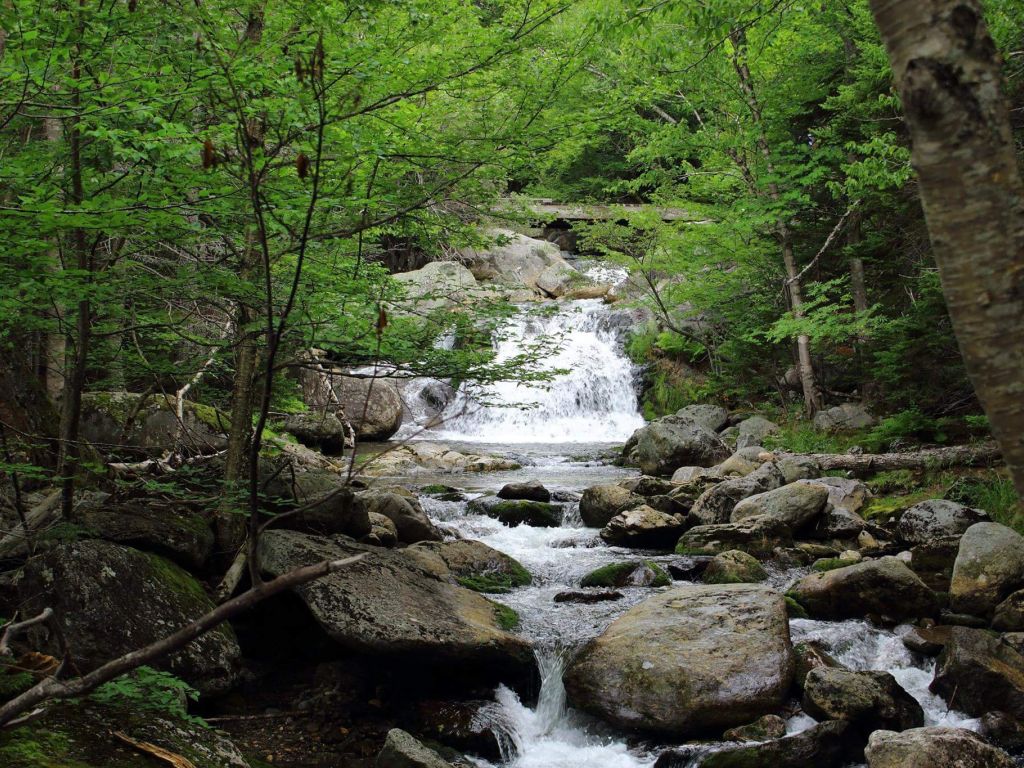 My Friends and I Drank From This Stream on Our Way Up Mount Washington in New Hampshire wallpaper