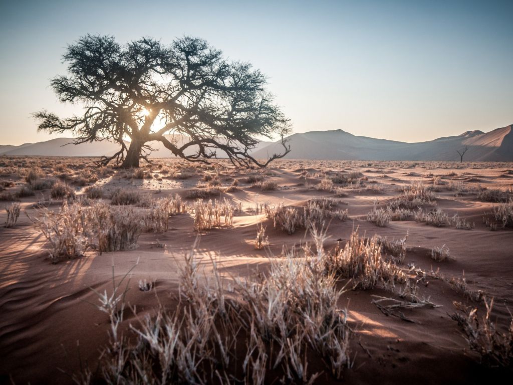Namibia Africa Desert Sunrise wallpaper