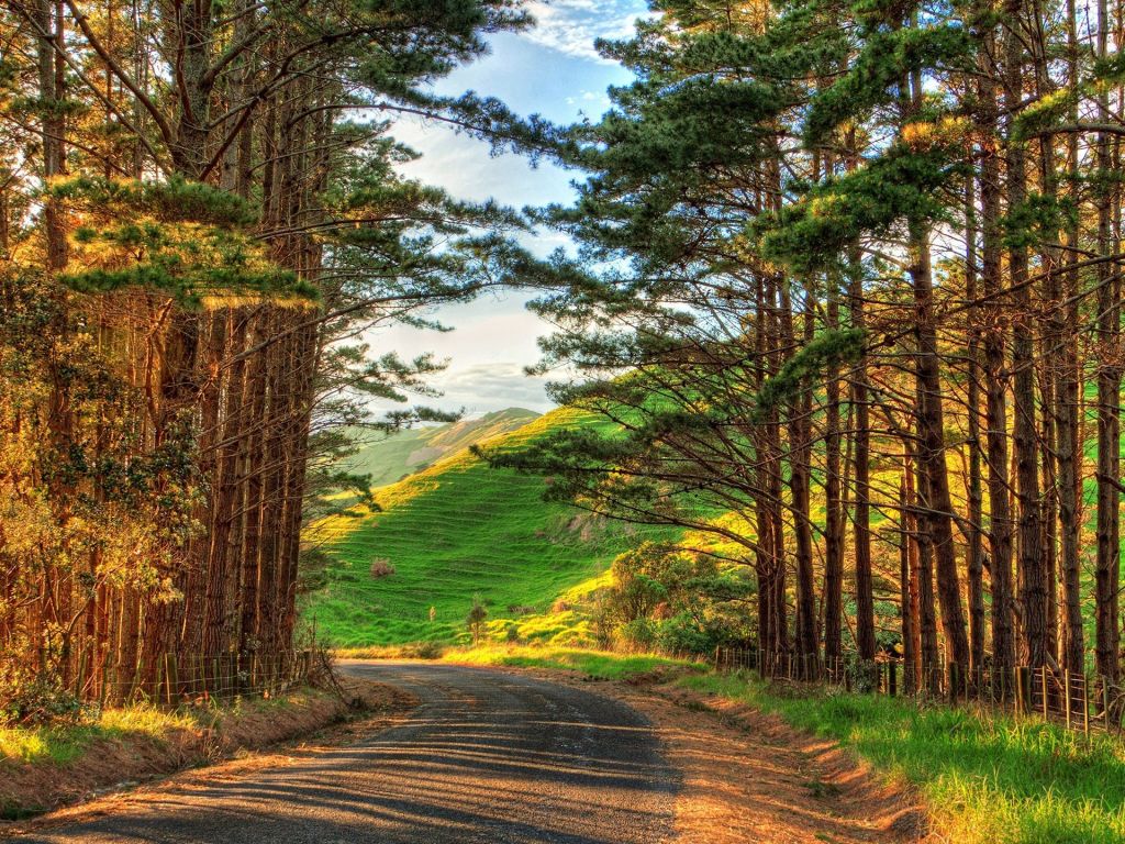 Natural Places And Road wallpaper