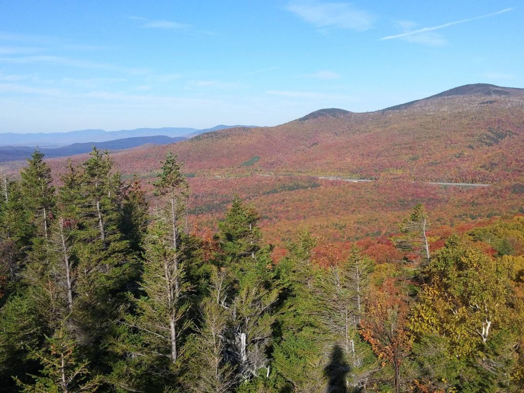 Natural Unedited Shot of the Foliage Progress in Northern NH wallpaper