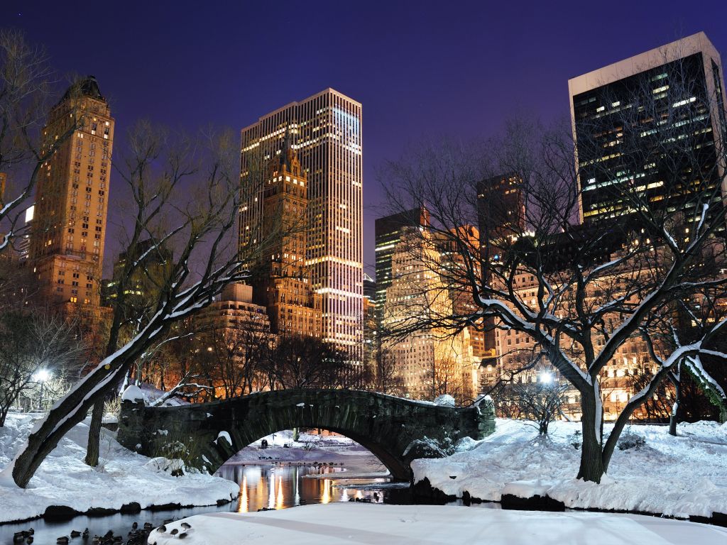 New York Central Park in the Winter wallpaper