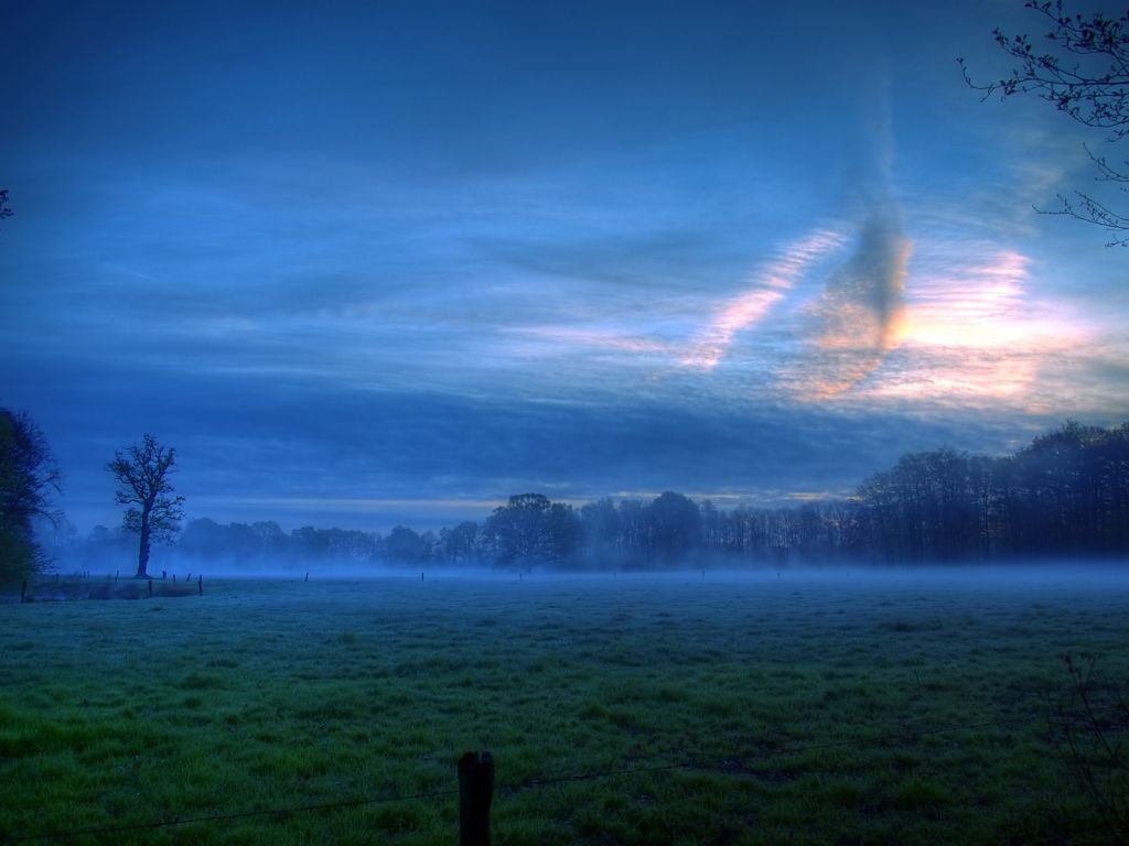 Night Field With Fog and Moonlight wallpaper