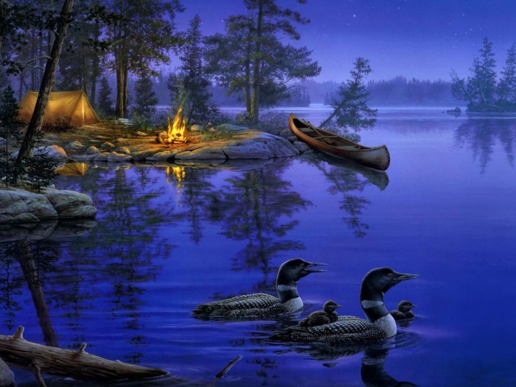 Night Star Forest Lake Ducks Boat Bonfire wallpaper