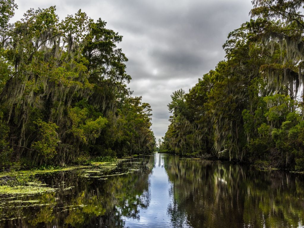 Not Your Typical EP Image but Theres Something Eerily Beautiful About the Jean Lafitte Bayou LA wallpaper