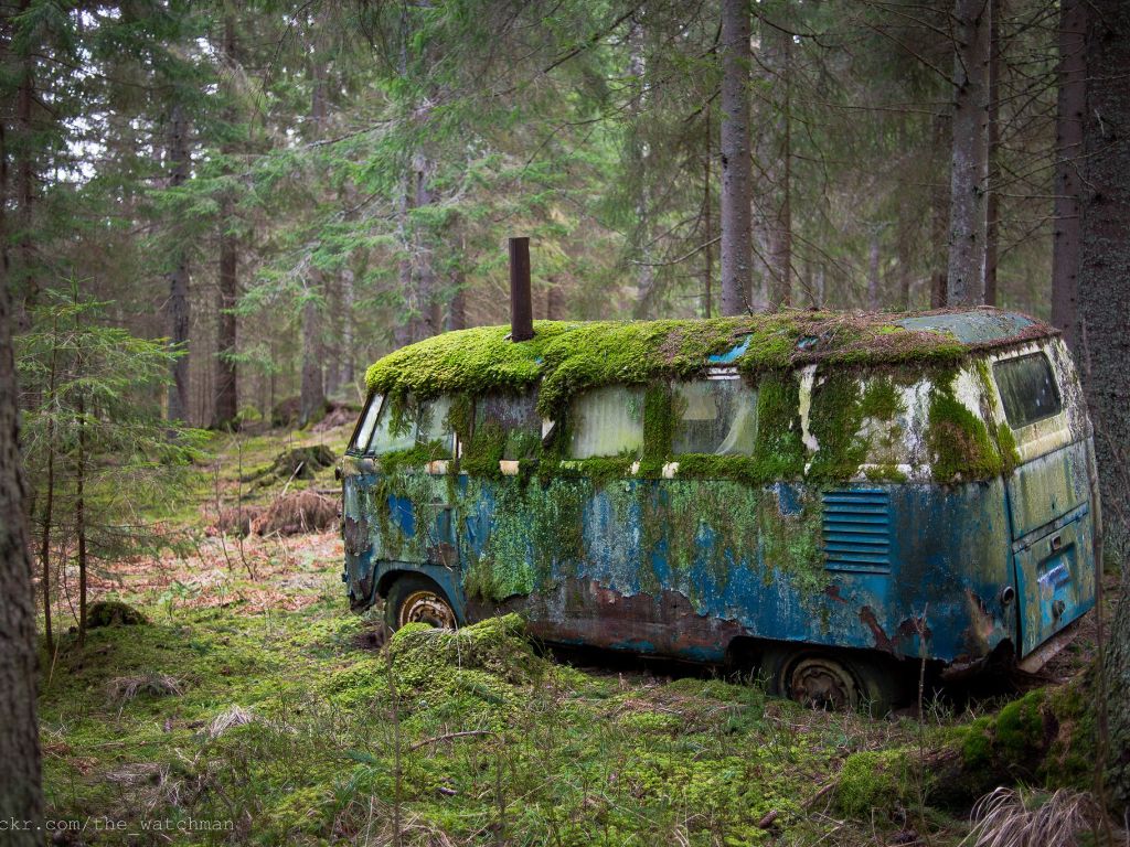 Old Mossy VW Bus That Was Once Someones Home Deep in the Forests of Norway wallpaper
