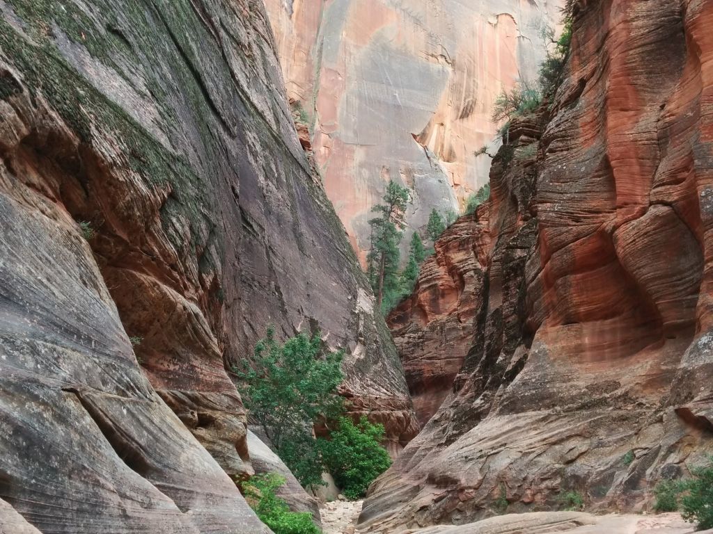 On the Trail to Observation Point in Zion Natl. Park Utah wallpaper